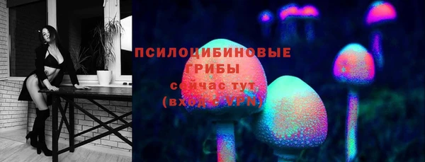 шишки Зерноград