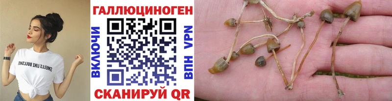 hydra   shop какой сайт  Псилоцибиновые грибы Magic Shrooms  Учалы 