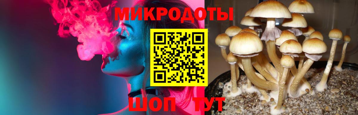 Учалы  Псилоцибиновые грибы GOLDEN TEACHER  Псилоцибиновые грибы Psilocybe  Вход с VPN 